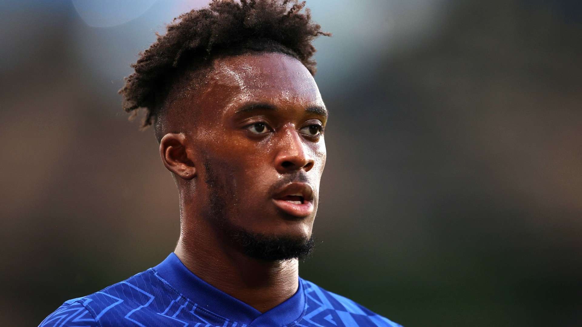 也成为了他 也成为了他