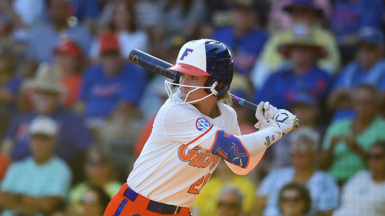 场适应性 场适应性